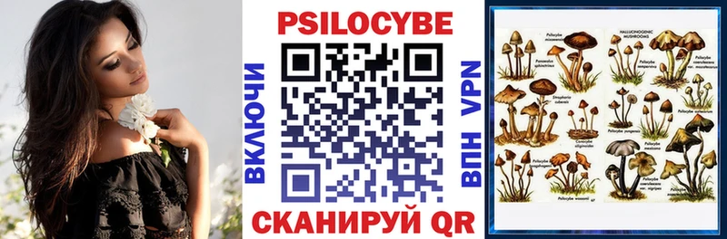 Псилоцибиновые грибы Psilocybine cubensis Тарко-Сале